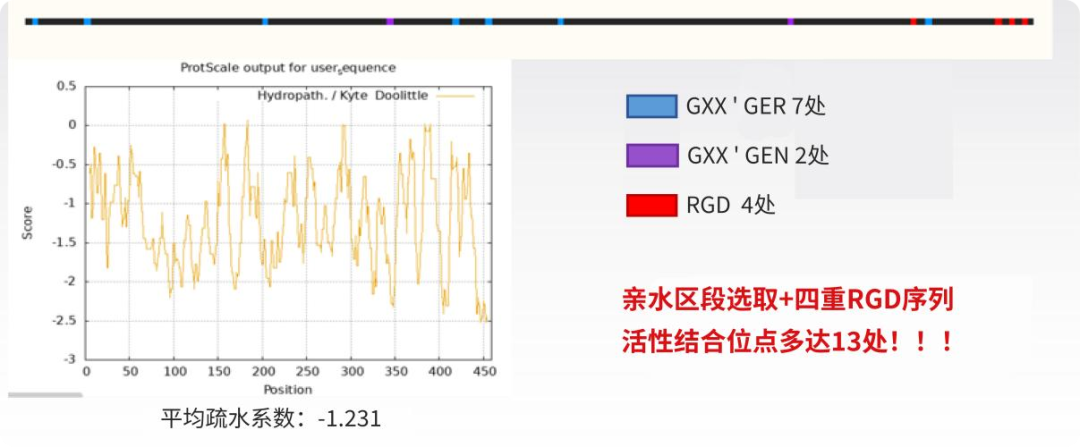 科研突破！佰鸿华湙获重组人Ⅲ型胶原蛋白发明专利授权