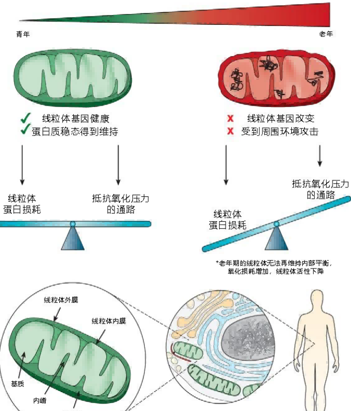 图片2(1).png