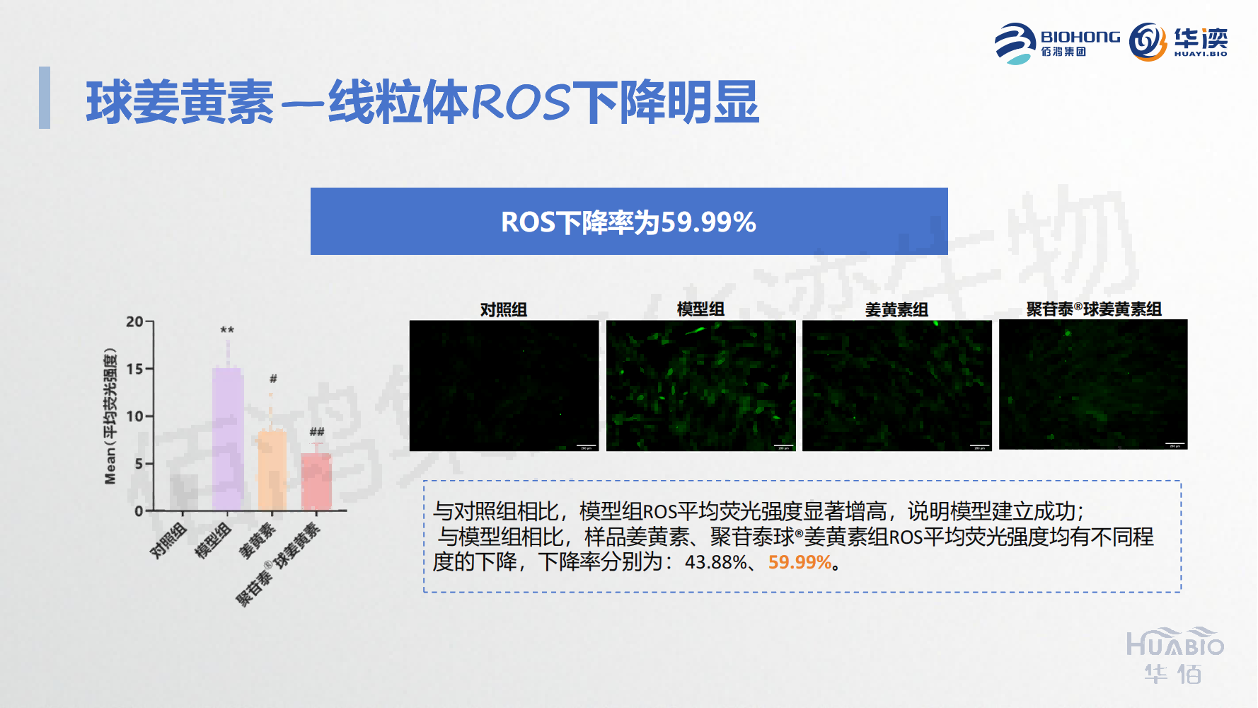 聚苷泰®球姜黄素_10(1).png