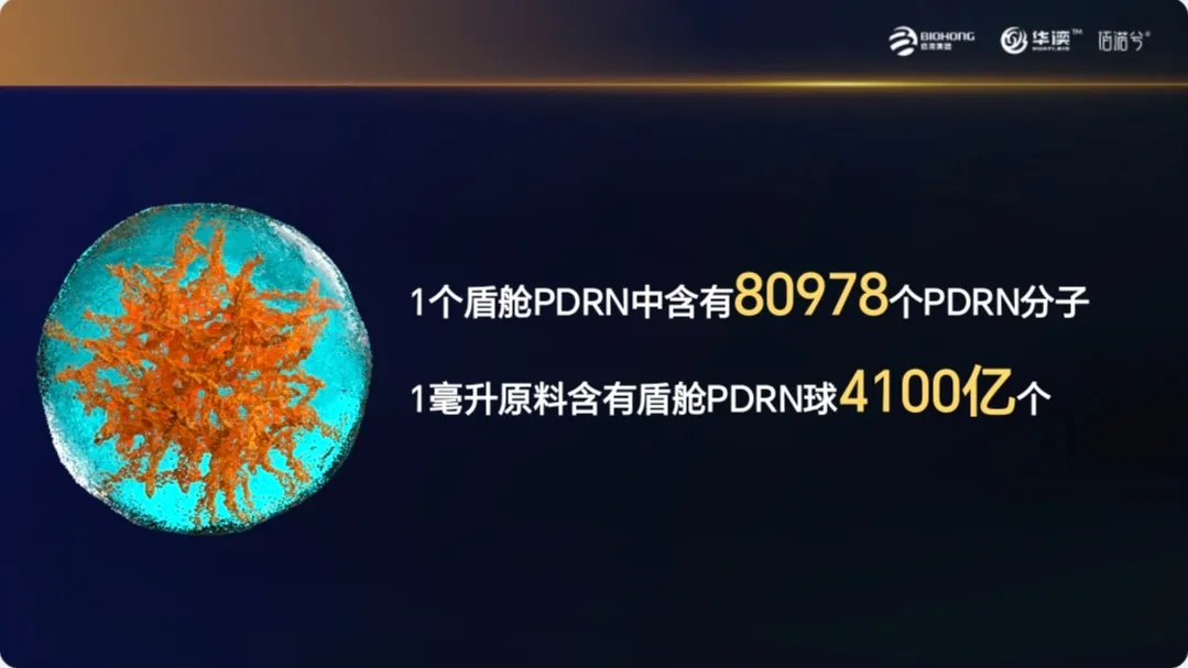 1745995732029.jpg