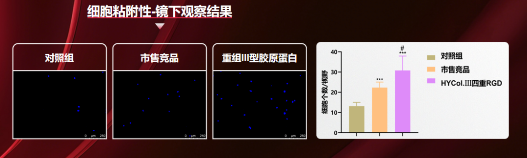 724984d3-c8f2-4888-8626-a65a694e1ba0.png